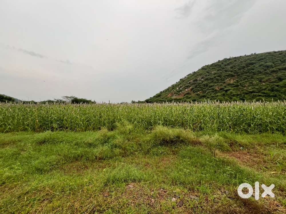 4.5 acre land for sale near Nalhar Mahadev Mandir