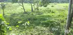 കൃഷി ഭൂമി ചിറക്കരത്താഴം