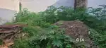 Residential Plot for Sale in Arya Nagar