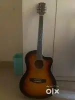 Vienna acoustic guitar