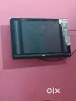 BUSH TV BUSH TV