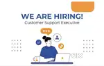 Customer Support Executive