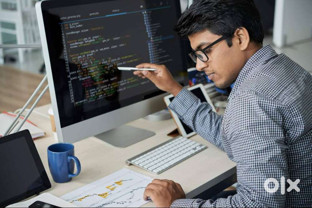 IT Software Services Provider Executive