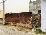 5 marle plot. Friends colony street number.5