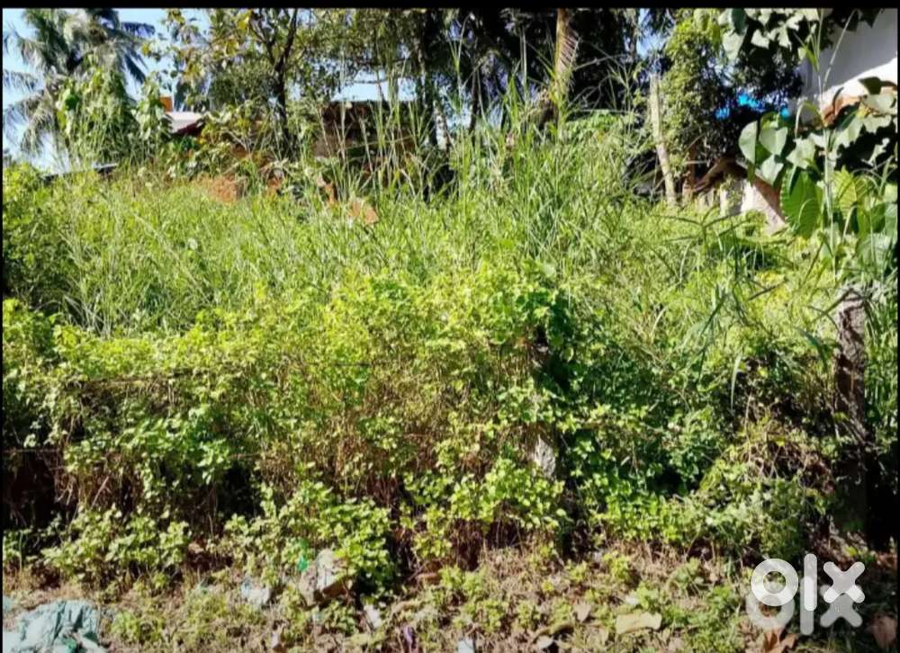 9.4cents land for sale at Valencia