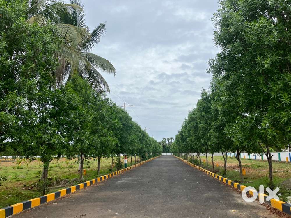 Bhogapuram area sunrey Resort oppsite