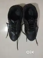 Black school shoes
