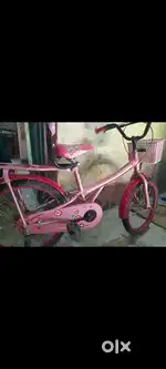 Flora cycle good condition