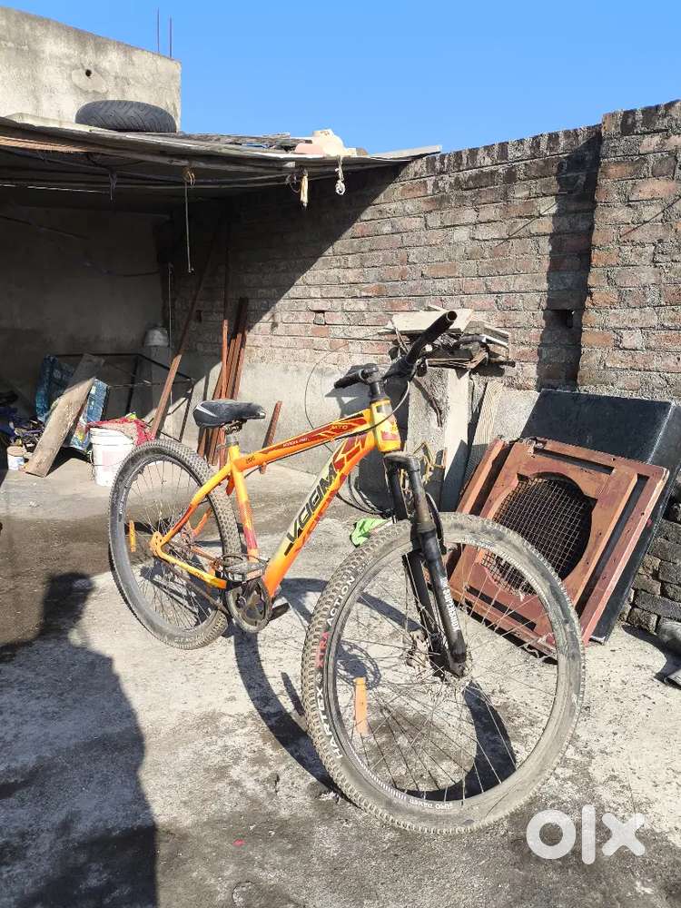 1 year old Cycle