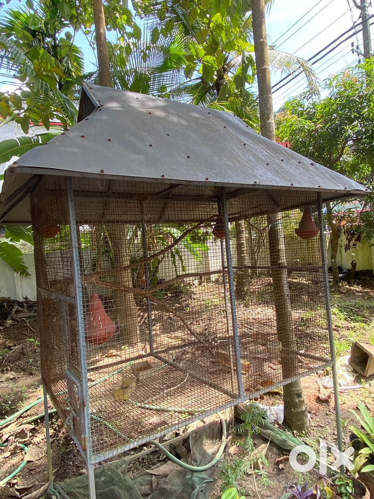 Shope sales executive .