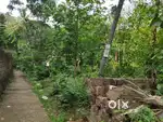 15 cent plot for sale near new Kannur Bus Stand (200m from main rd)
