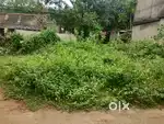 Gurujanga,Kochila kona sahi