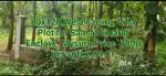 80x120,Villa Plot for Sale at Emarld Enclave Near Infosys Campus