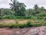 Land for sale kannur