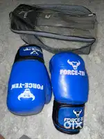 Force Ten Blue Boxing MMA Gloves for Boxing MMA Gym
