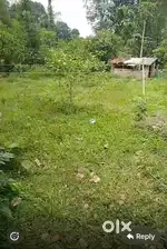 Urgent sale - 16 cent land (price negotiable)