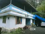 Pulickalkavala 9 cent 3 bedroom house.38 .lakh.