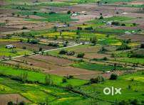80 gaj Plots
