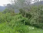 1.5 Acre Scenic Land  Perfect Farm Stay or Eco Tourism Near Munnar