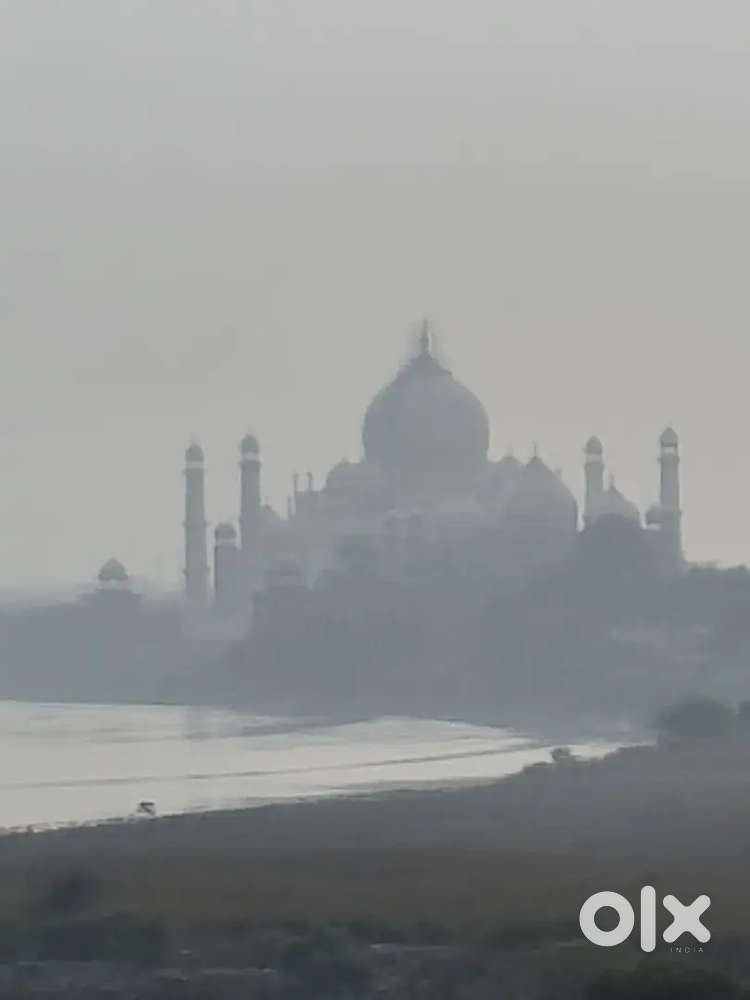 Boy for working in restaurant