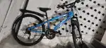 Mustang bycycle