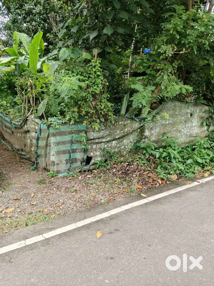 ചൂനാട് ടാർറോഡ്  ഫ്രണ്ടേജോട് കൂടിയ 5 ,സെന്റ് സ്ഥലം വിൽപ്പനയ്ക്ക്