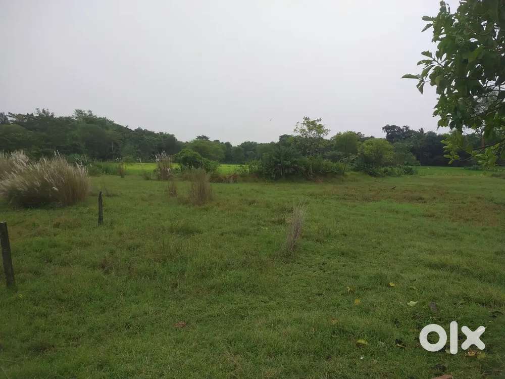 Lakshmipur, Poda Astia Urgent Sell 9 Dismil Plot Selling For 27,00,000