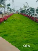Plot urgent sell