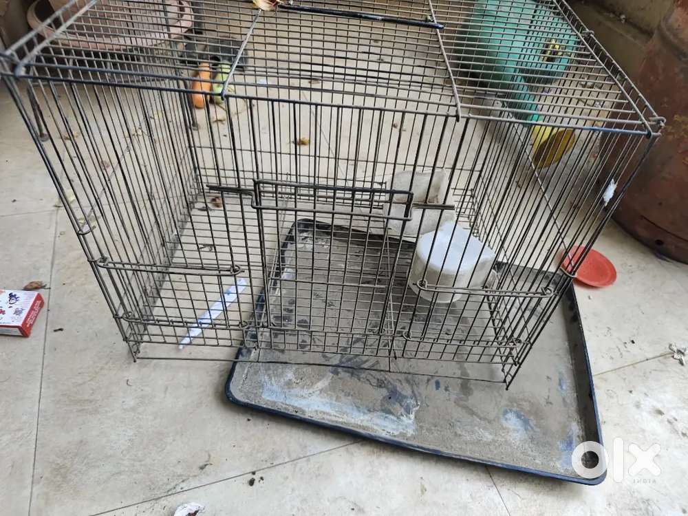 Rabbit or other animal cage at just 400 rs
