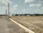 कैमा स्टेशन से मात्र 800 मी. रेजिडेंशियल प्लॉट 450rs sqft
