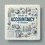Accountancy tution