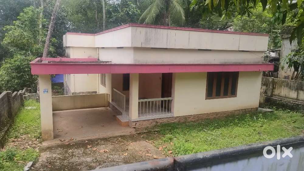 10 Cent 2 BHK 1300sqft Redbrik old veedu