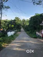 75 Cent Land For sale Pattimattom valmboor