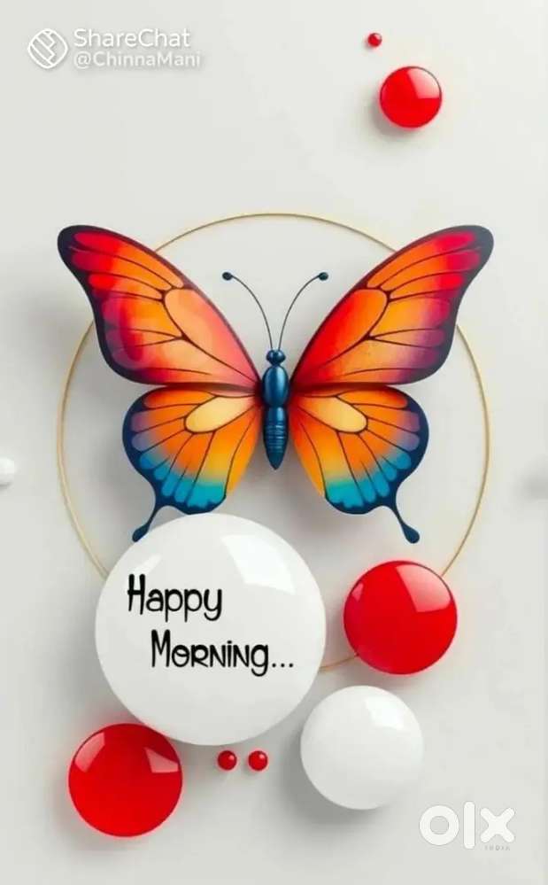 Female Reception and telecalling