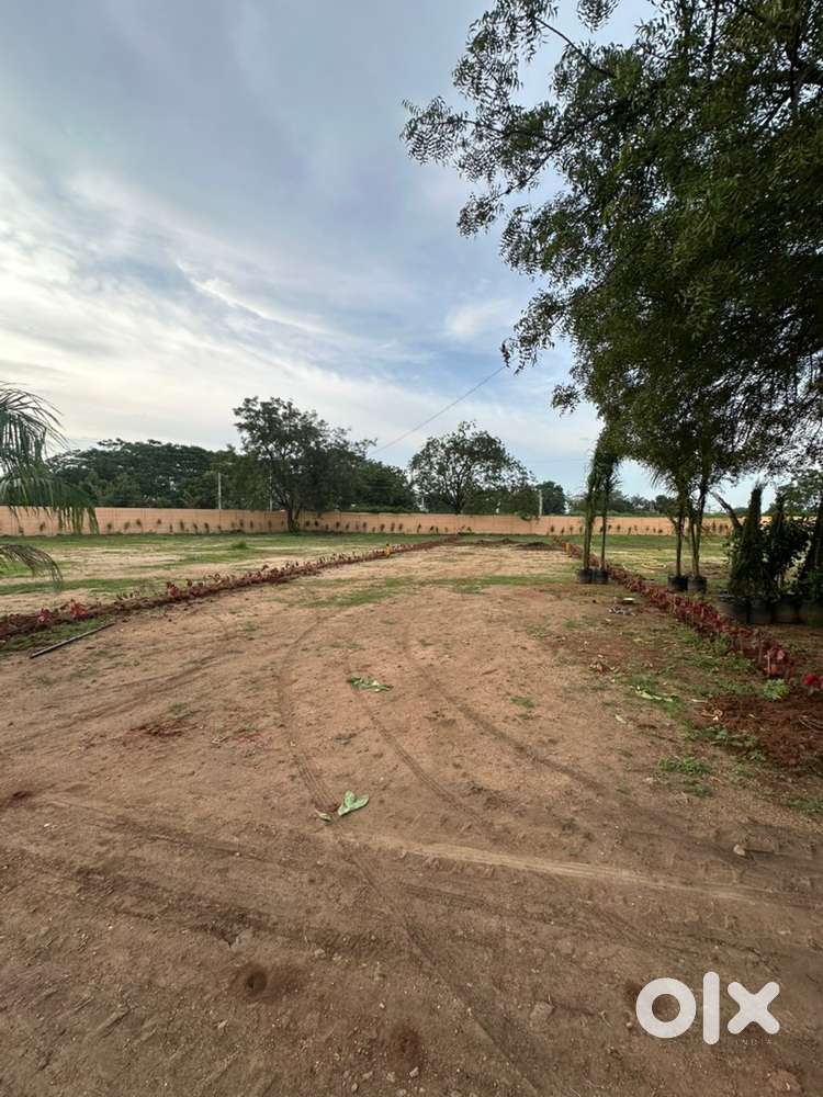 Invest Smart Prime Farmlands near Airport