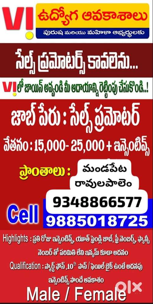 VI promotor