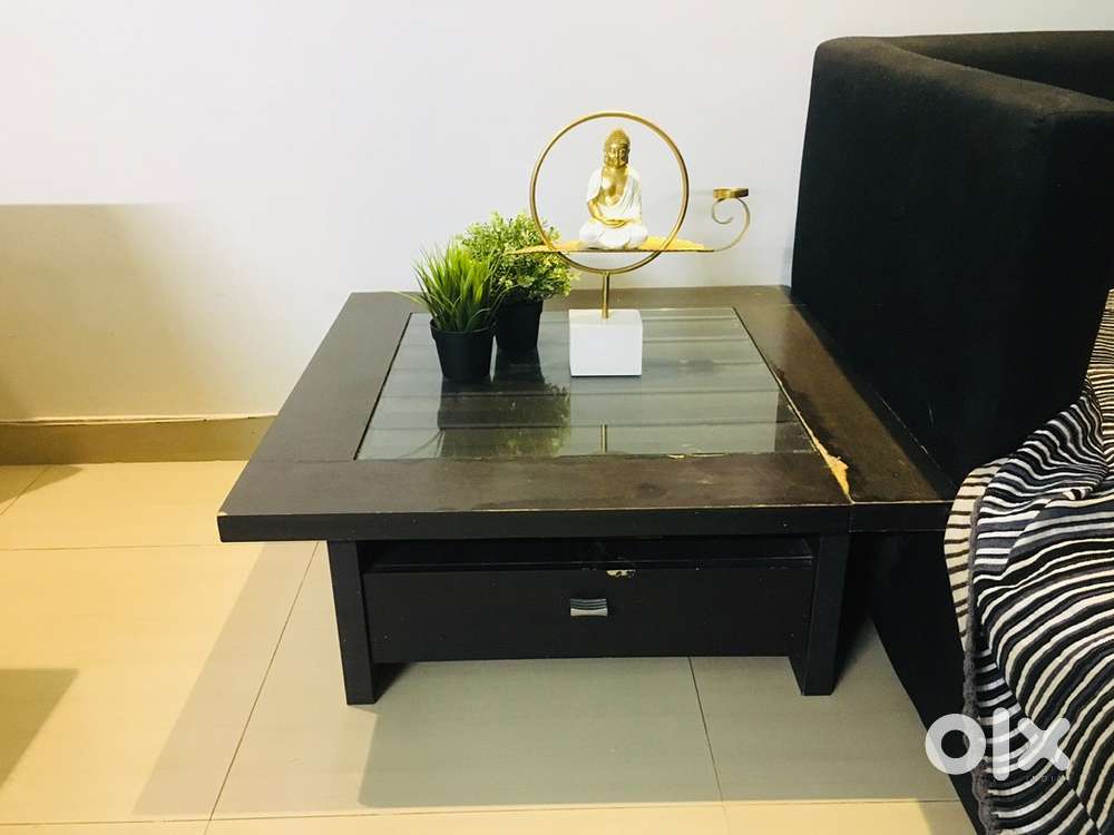 Veeneer finish Ebony gautier Germany brand Center table on sale