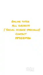 Social science teacher ( all subjects)