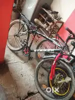 Bicycle gang