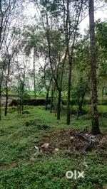 വീട് വയ്ക്കാൻ സ്ഥലം വില്പനക്ക്