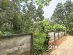15 cent land