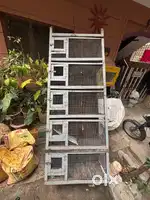 Love birds Cage