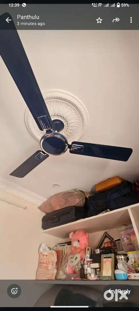 Crompton Aura prime and v gaurd fans available