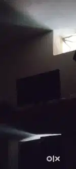 Monitor dell