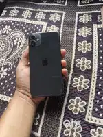 iphone 11 fresh