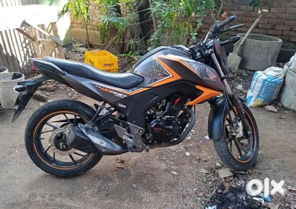 Honda hornet for sale