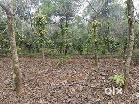 Suitable for villa projects 85 cent land for sale 5 meeter road width