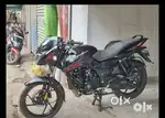 2023 end  Brand new condition pulsar 125