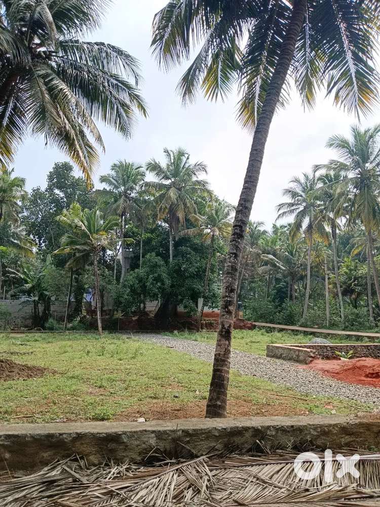 3 Cent Housing Land for Sale Near  Konam Paruthivilai in Adaravilai