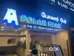 Polar bear ice cream parlour